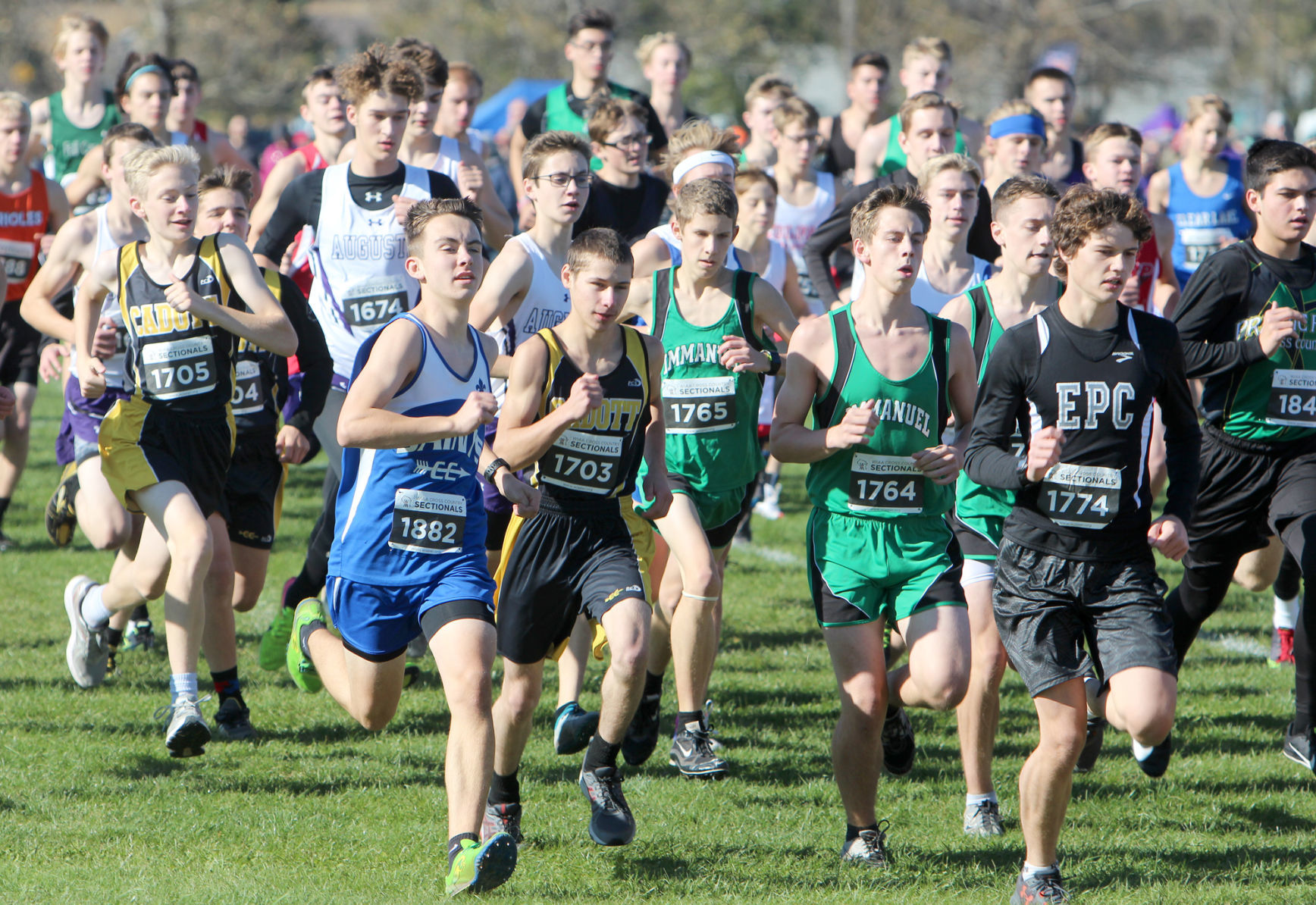 Division 3 Cross Country Sectionals in Boyceville 10-26-19
